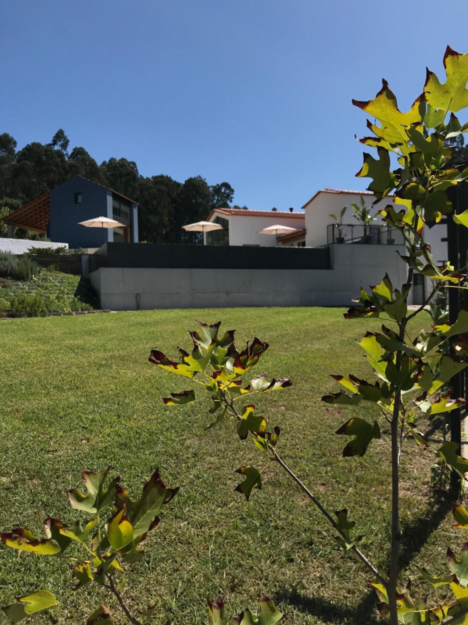 Casa Da Milheira - Agroturismo Oliveira de Azemeis Exterior foto